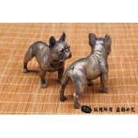 非常萌的法国小斗牛犬