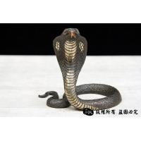 眼睛王蛇