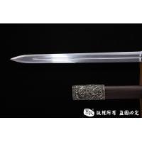 诸刃环首唐剑