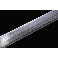 5541