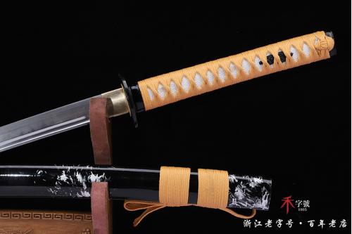 谍影武士刀