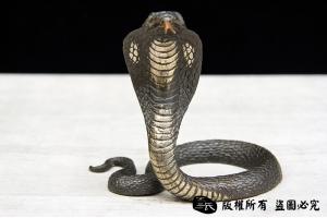 眼睛王蛇