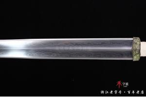 z5733